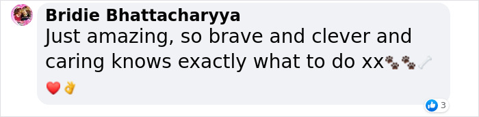Heartwarming Story Of Dog Rescuing His Family From Fire Heartwarming Story Of Dog Rescuing His Family From Fire