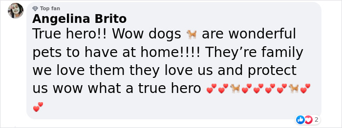 Heartwarming Story Of Dog Rescuing His Family From Fire Heartwarming Story Of Dog Rescuing His Family From Fire