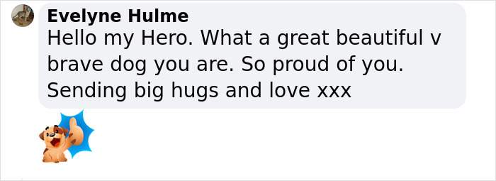 Heartwarming Story Of Dog Rescuing His Family From Fire Heartwarming Story Of Dog Rescuing His Family From Fire