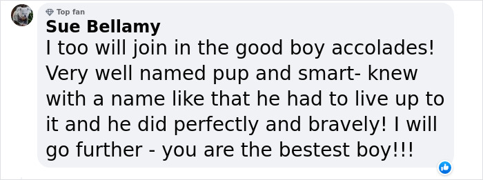 Heartwarming Story Of Dog Rescuing His Family From Fire Heartwarming Story Of Dog Rescuing His Family From Fire