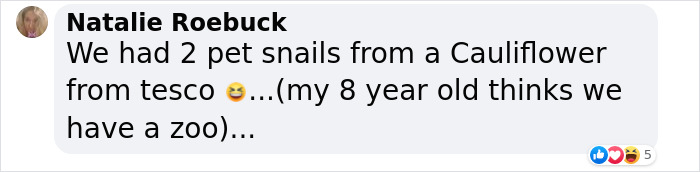 Man Receives Shock Of A Lifetime After Finding Snake Inside Bag Of Broccoli, Demands Compensation Man Receives Shock Of A Lifetime After Finding Snake Inside Bag Of Broccoli, Demands Compensation