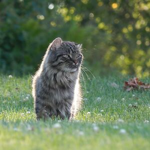 josieweiss13579 avatar