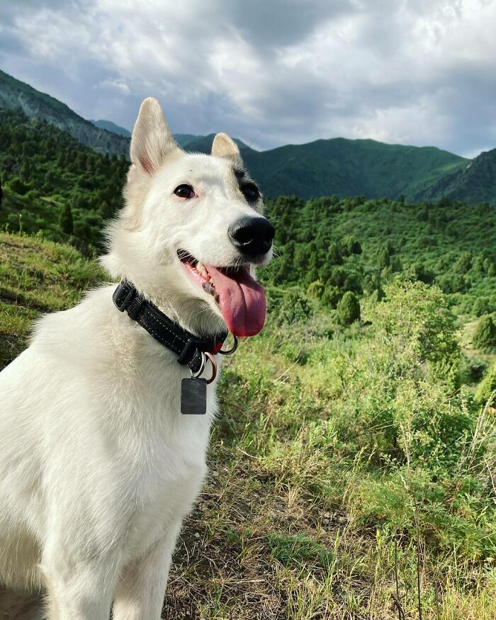 My Friend Found Her, We Took Her Home. She Is Living With Us Almost Half Of A Year Now. And It's The Happiest Time