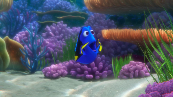 Dory