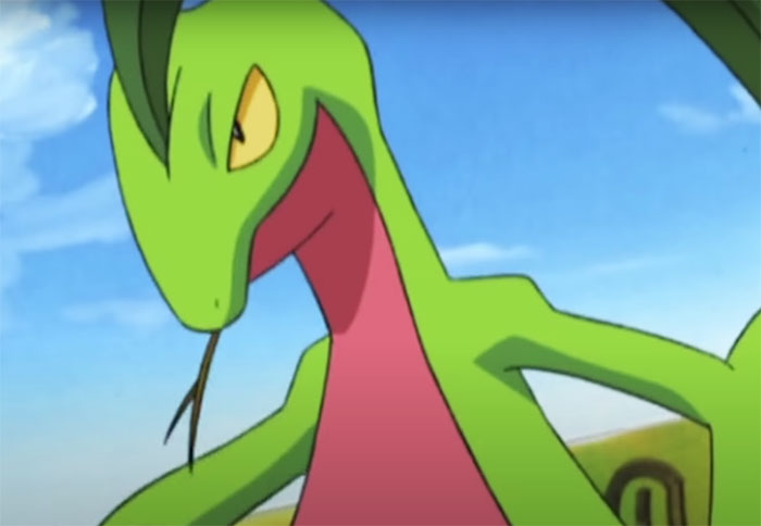 Grovyle and blue background - 29