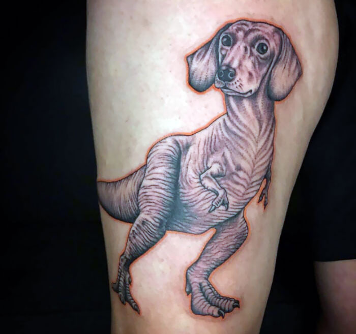 A Dachshundasaur