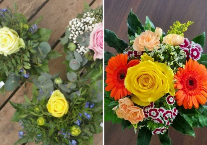 A la izquierda lo que pedí, a la derecha lo que conseguí