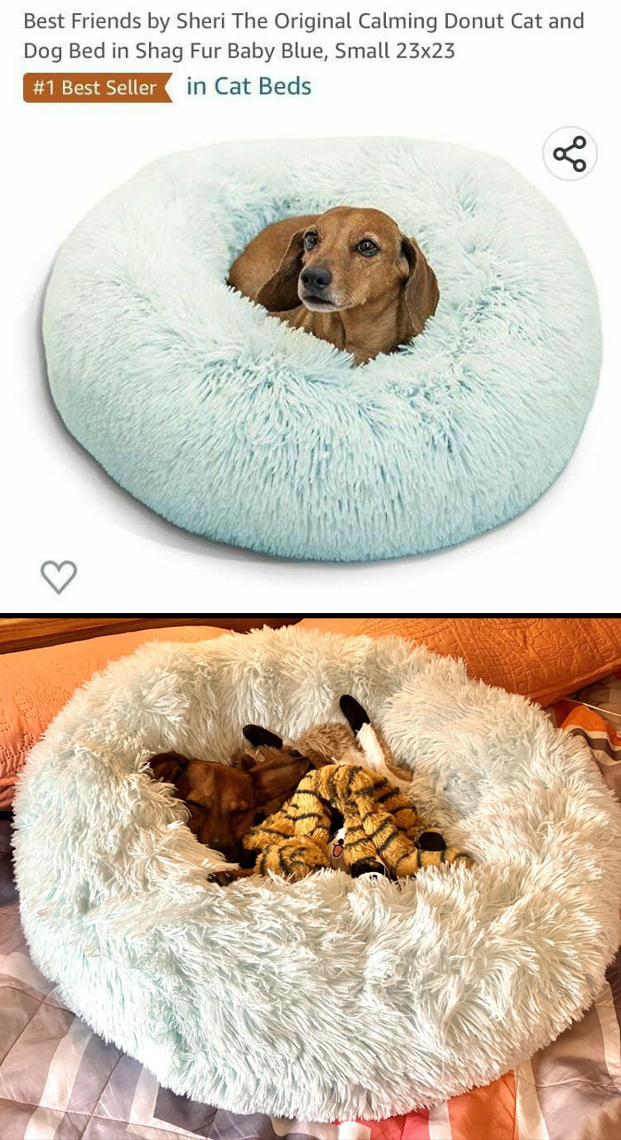 I Couldn’t Resist. Benito Is A Happy Boy