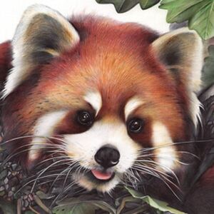 emilystevens_2 avatar