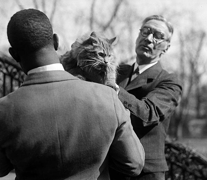 White House Persian Cat. 1929 March 29