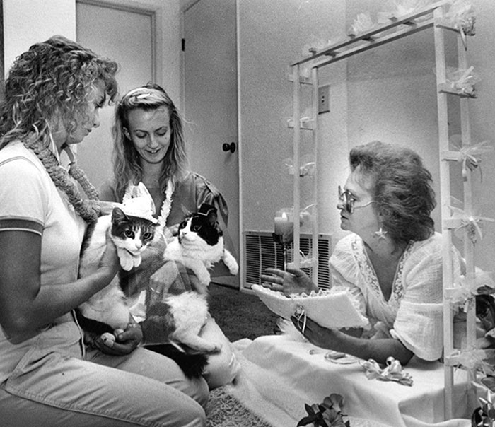 Dawn Rodgers Officiates At A "Wedding" Of Formally Attired Felines Tigger And Kirby, Held By Daughters Summer And September