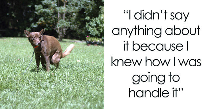 Neighbors Won’t Pick Up After Their Dog, Guy Enjoys Watching Them Losing Their Minds After His Revenge