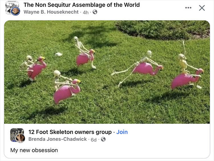 I’ve Got To Find These Before Halloween