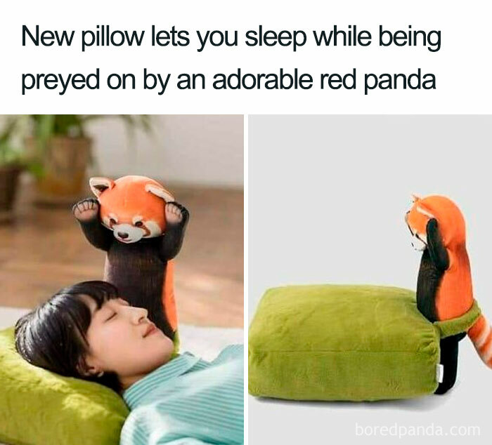 Is 12 Really Enough?