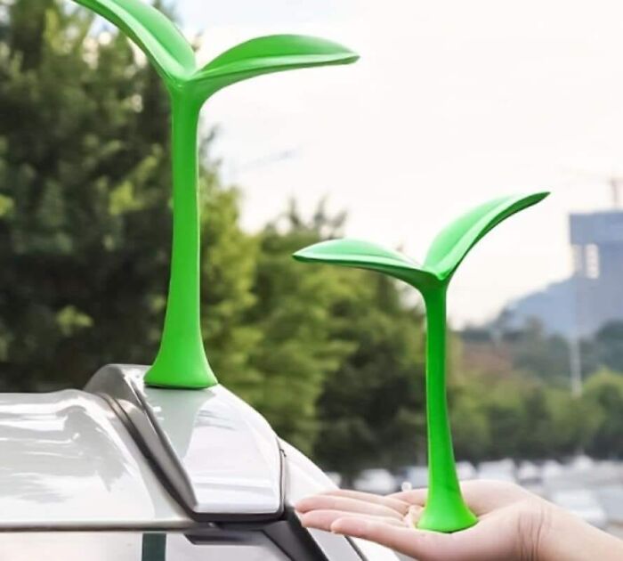 I Want It And I Don't Even Own A Car