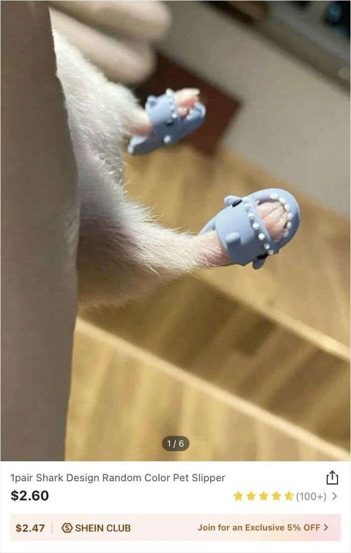 I’d Better Get 12 Hamsters While I’m At It