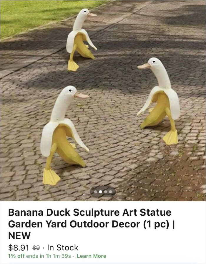 Finally Found One In The Wild