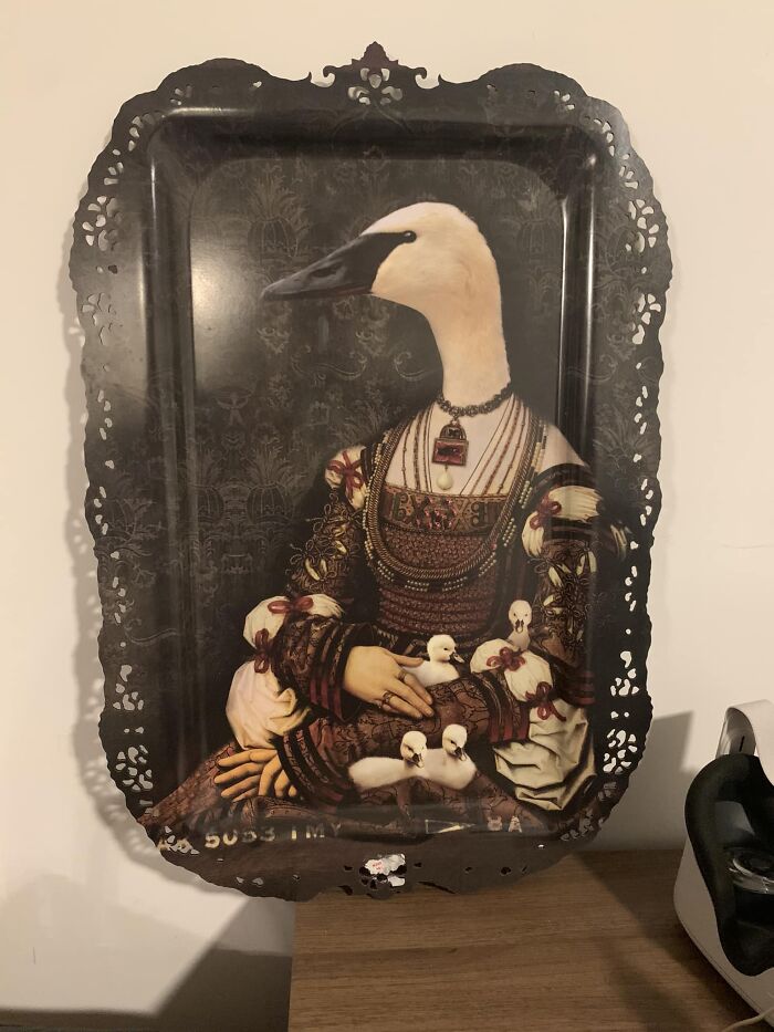 No One Else In My House Appreciates Her Beauty, But I Know Y’all Will. I Absolutely Adore Her And Her Children