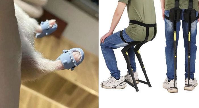 “Oh Wow That Is Ridiculous I Will Take 12 Of Them”: The Weirdest Things People Would Love To Own