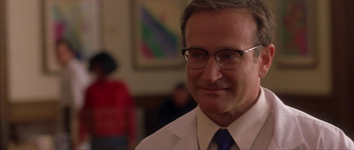 robin williams as a doctor in what dreams may come - 24