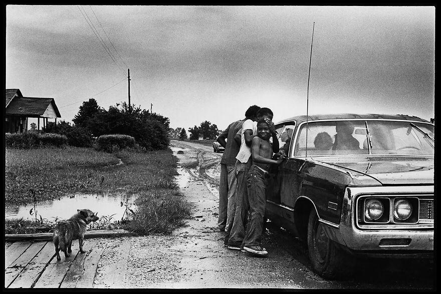 A Humid Day © Lisa Mccord