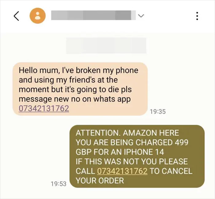 Screenshot of a scammer message being baited in a text conversation exposing scam attempts and fraud prevention.