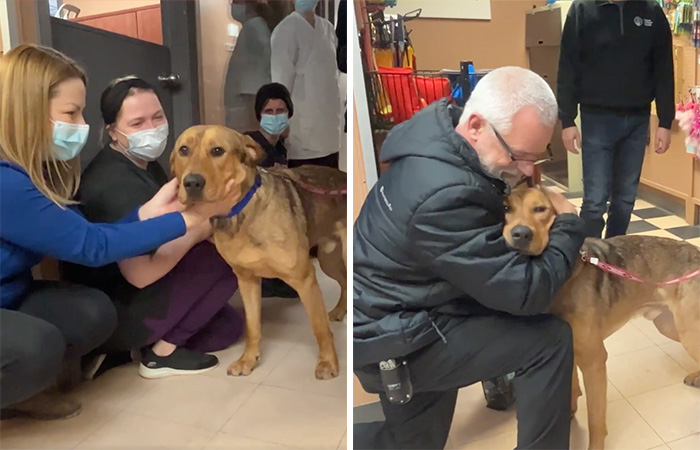 Heartwarming Video Showing Shelter Dog Saying Goodbye To Staff Members After Being Adopted