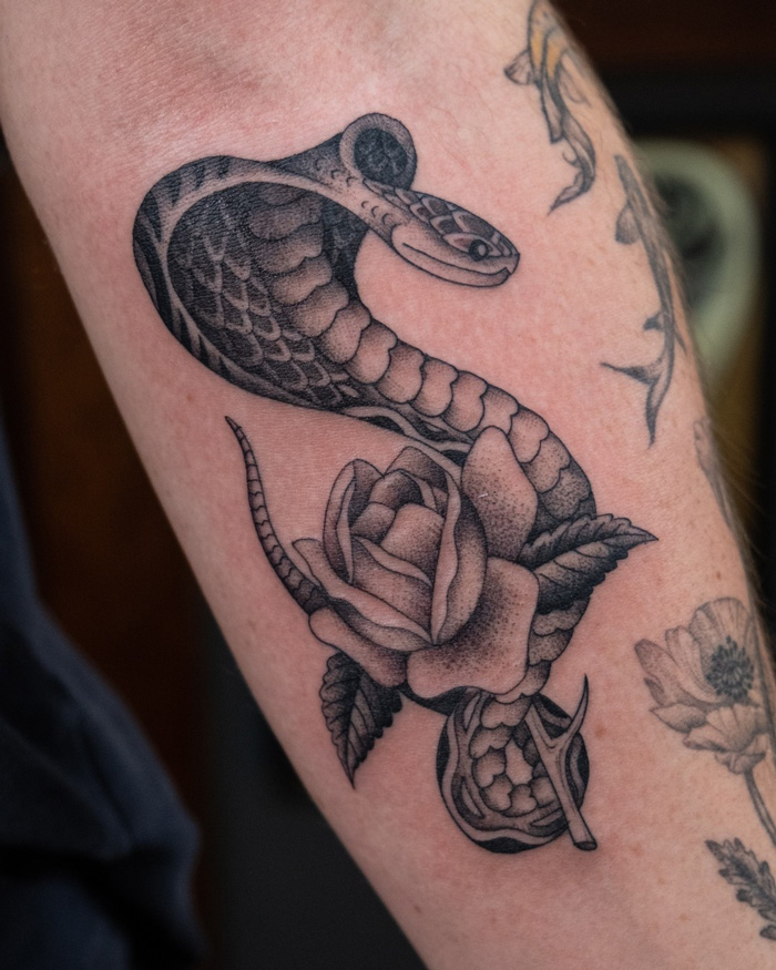 Snake tattoo design featuring a coiled snake intertwined with a rose on someone's arm.