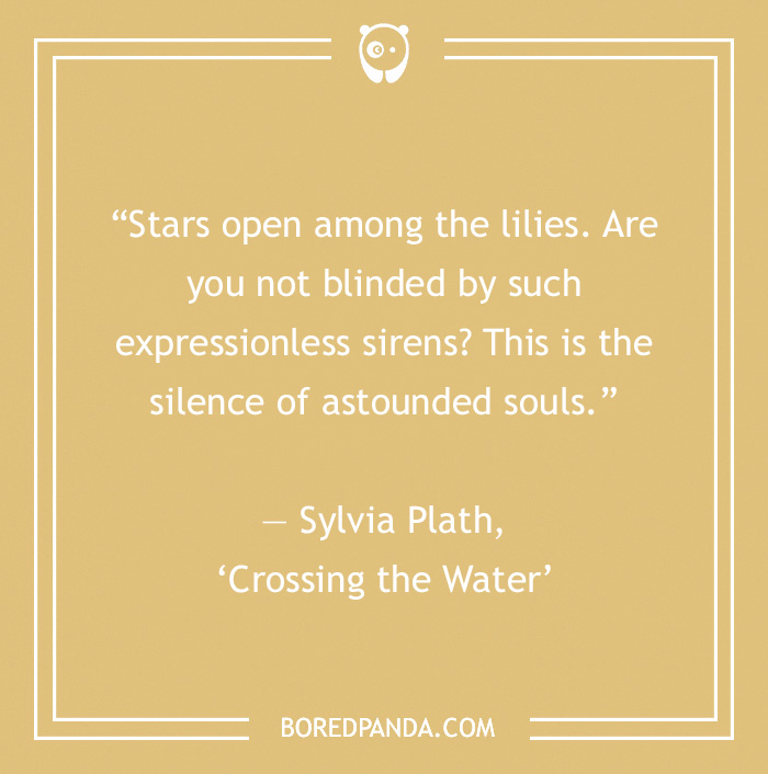 Sylvia Plath quote on introspection