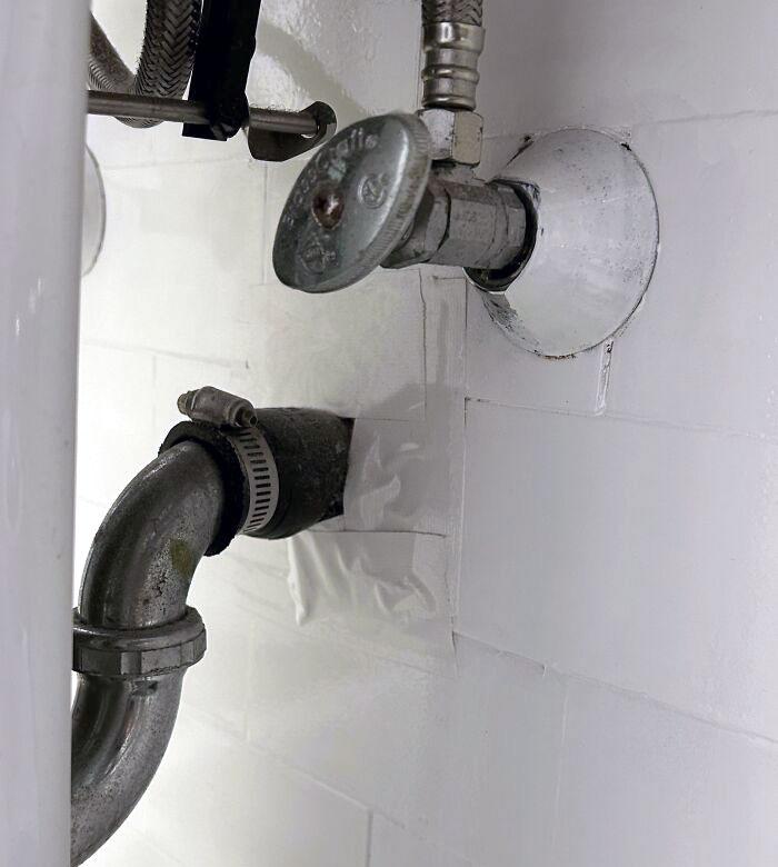 The Landlord Special