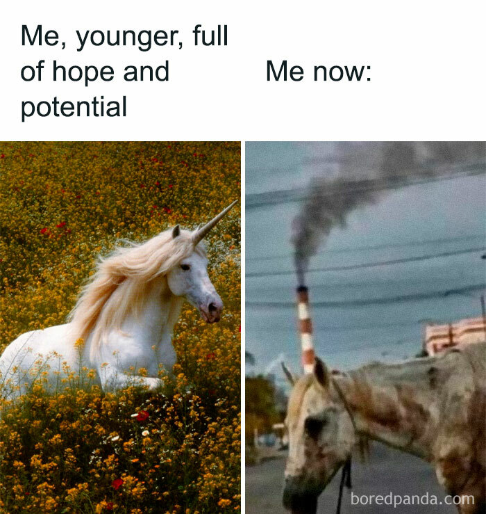 The-Weird-Side-Of-The-Internet