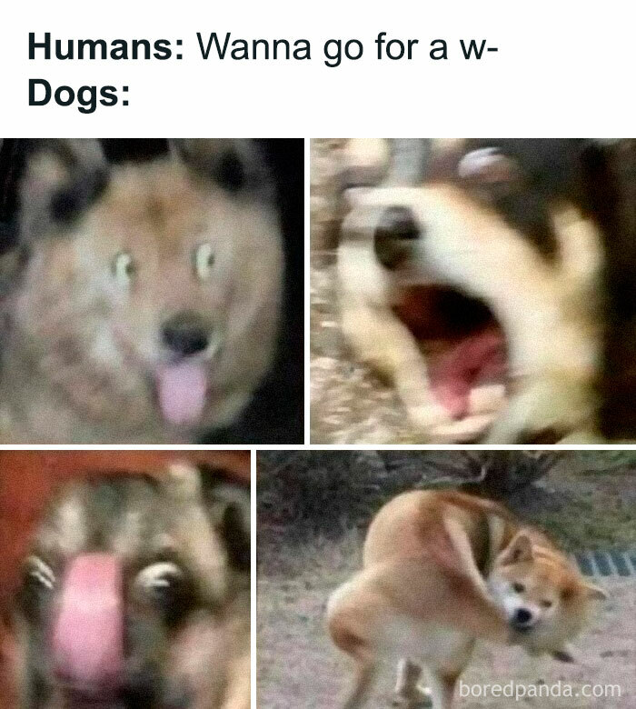 The-Weird-Side-Of-The-Internet