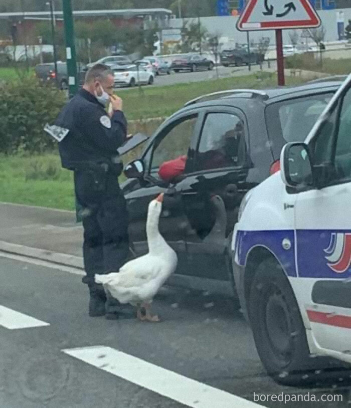 The-Weird-Side-Of-The-Internet