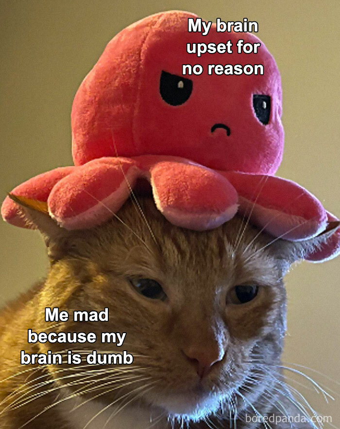 The-Weird-Side-Of-The-Internet