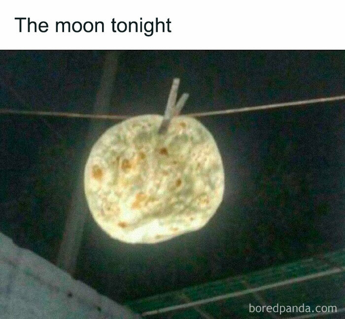 The-Weird-Side-Of-The-Internet