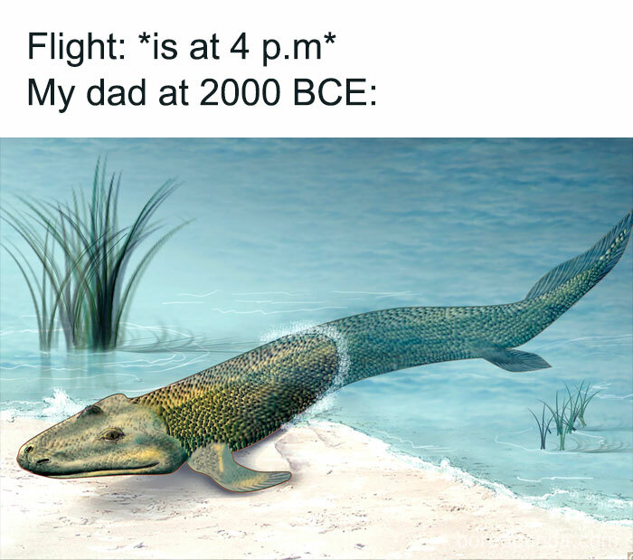 The-Weird-Side-Of-The-Internet