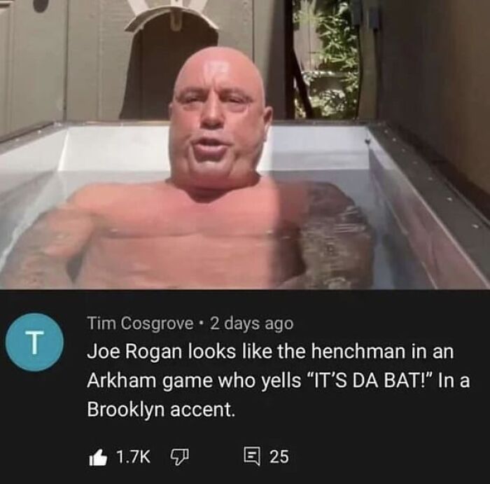 Things-That-Look-Alike