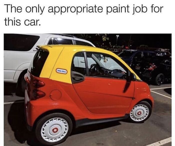 Things-That-Look-Alike