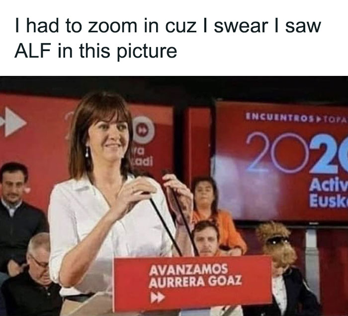 Things-That-Look-Alike