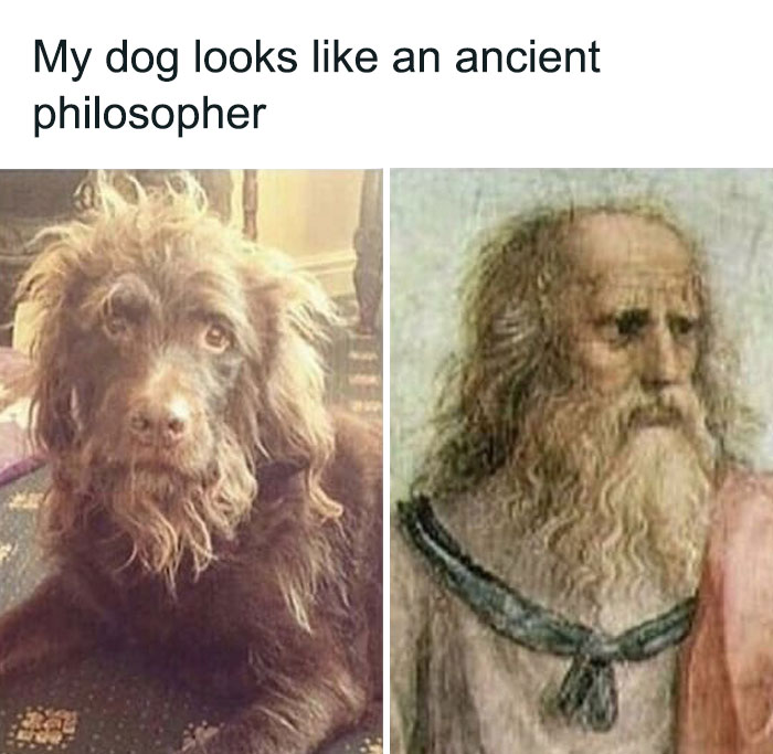 Things-That-Look-Alike