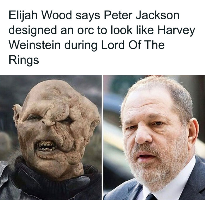 Things-That-Look-Alike