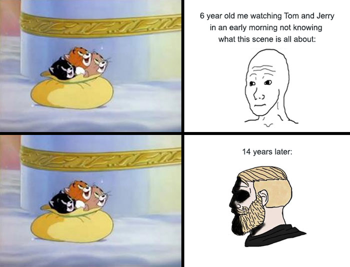 Tom and Jerry meme showing aging effect over 14 years, with characters on a pillow and contrasting reactions.