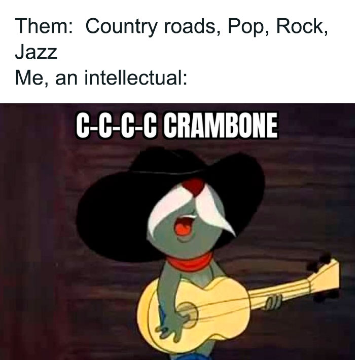 Tom wearing a large hat, playing a guitar and singing humorously, representing a relatable Tom & Jerry meme.