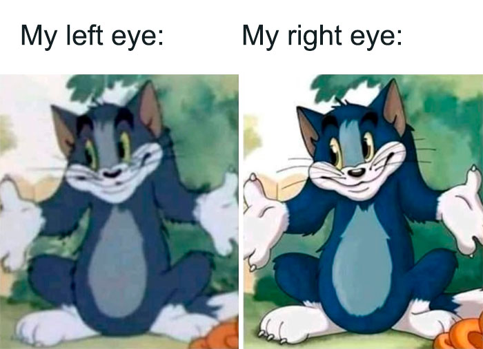 Tom and Jerry meme showing two panels with different expressions labeled "My left eye" and "My right eye."
