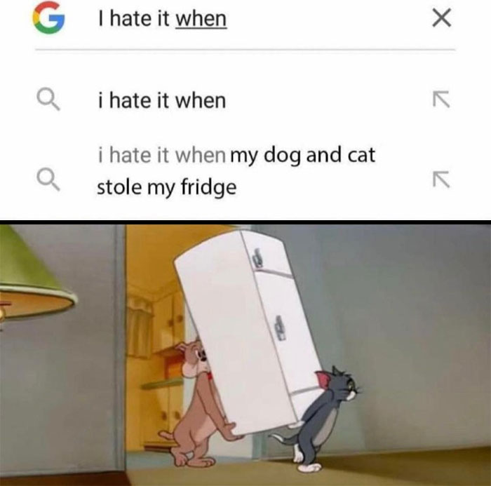 Tom and Jerry meme: search results joke about a dog and cat stealing a fridge.