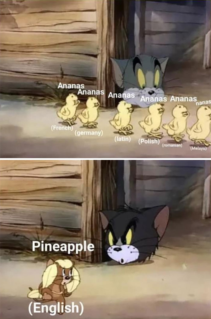 Tom & Jerry meme showing Tom reacting to multiple languages saying "Ananas" for pineapple.