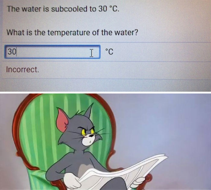 Tom from Tom & Jerry looking confused at an incorrect temperature answer on a screen.