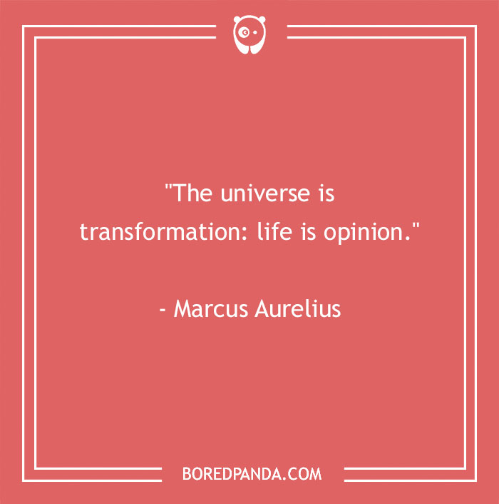 195 Truth Quotes To Help Filter Out The Lies Around You