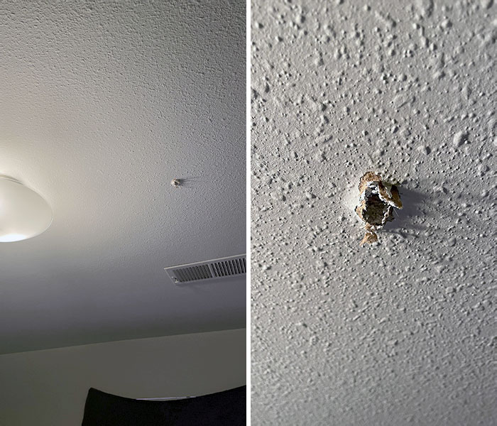 El vecino de arriba ha disparado un arma accidentalmente y ha atravesado el techo de nuestro dormitorio