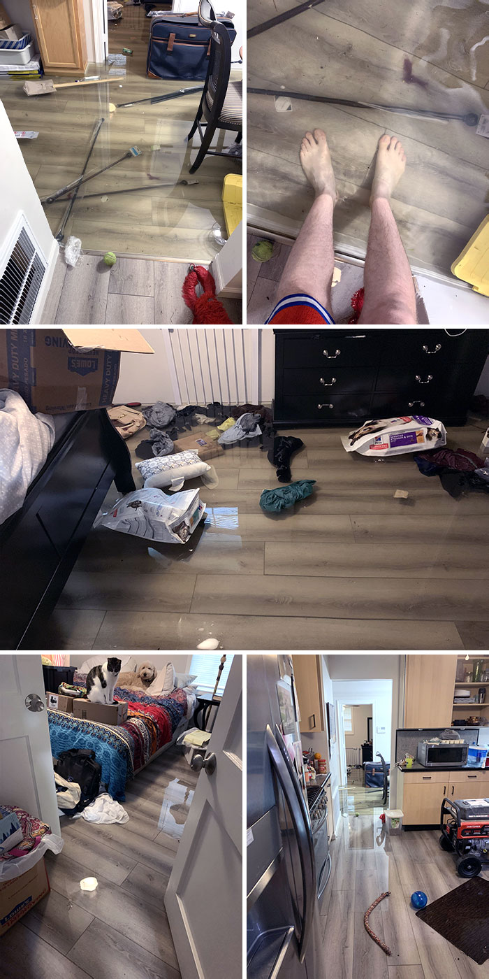 Nearly One Month After Finally Repairing My House From Hurricane Laura, One Of The Worst Rainstorms In 50 Years Hit My Town And Filled My House With Water